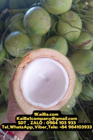máy cắt dừa