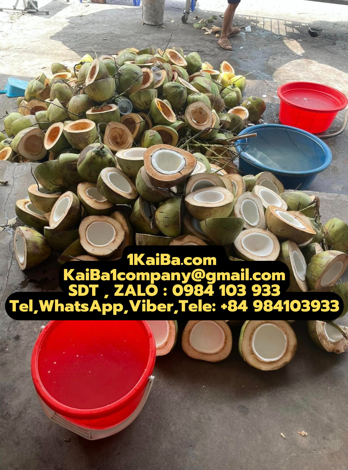 máy cắt dừa tươi