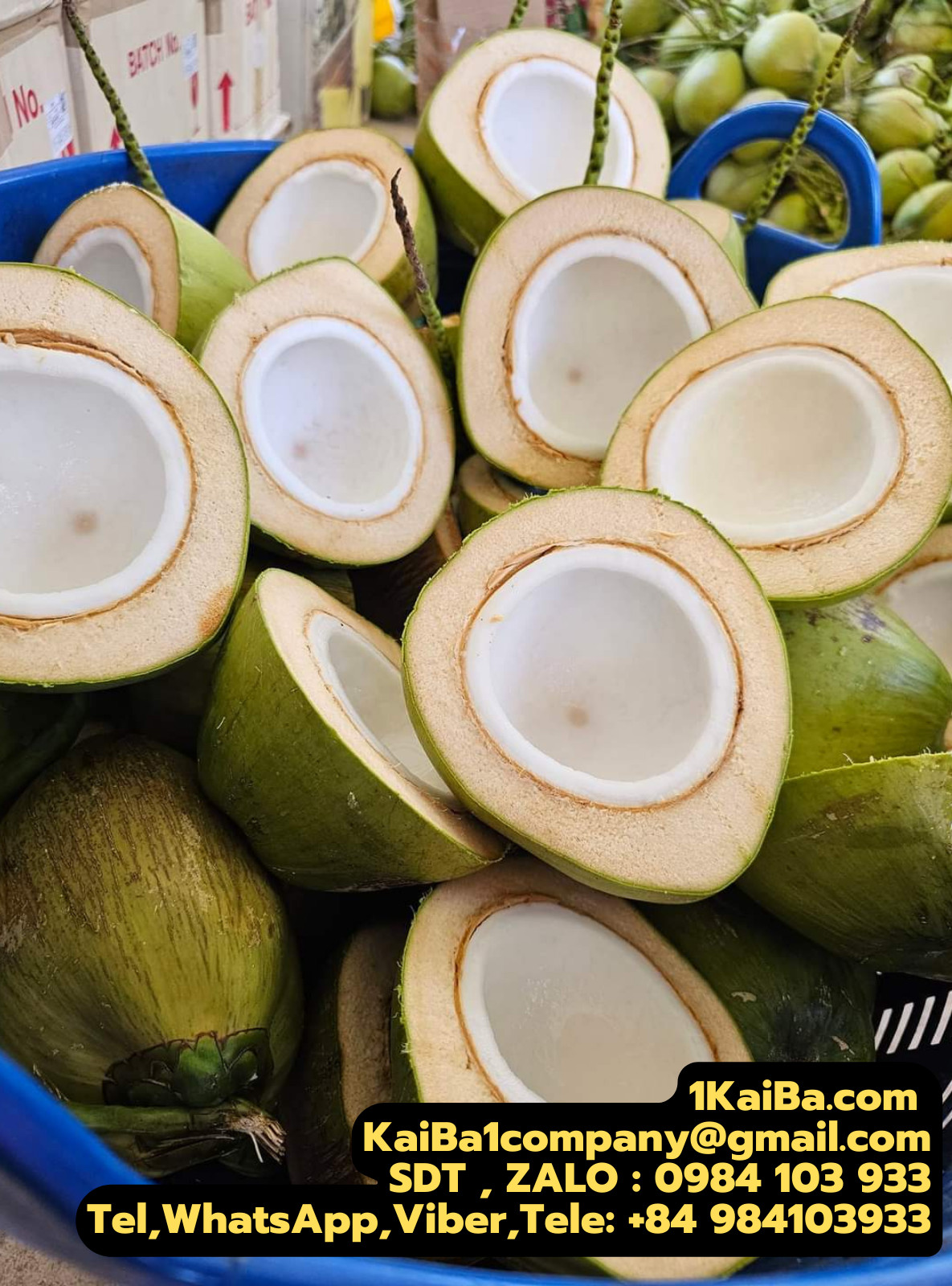 MÁY CẮT DỪA TƯƠI
