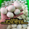 Máy Lột Vỏ Trứng Gà