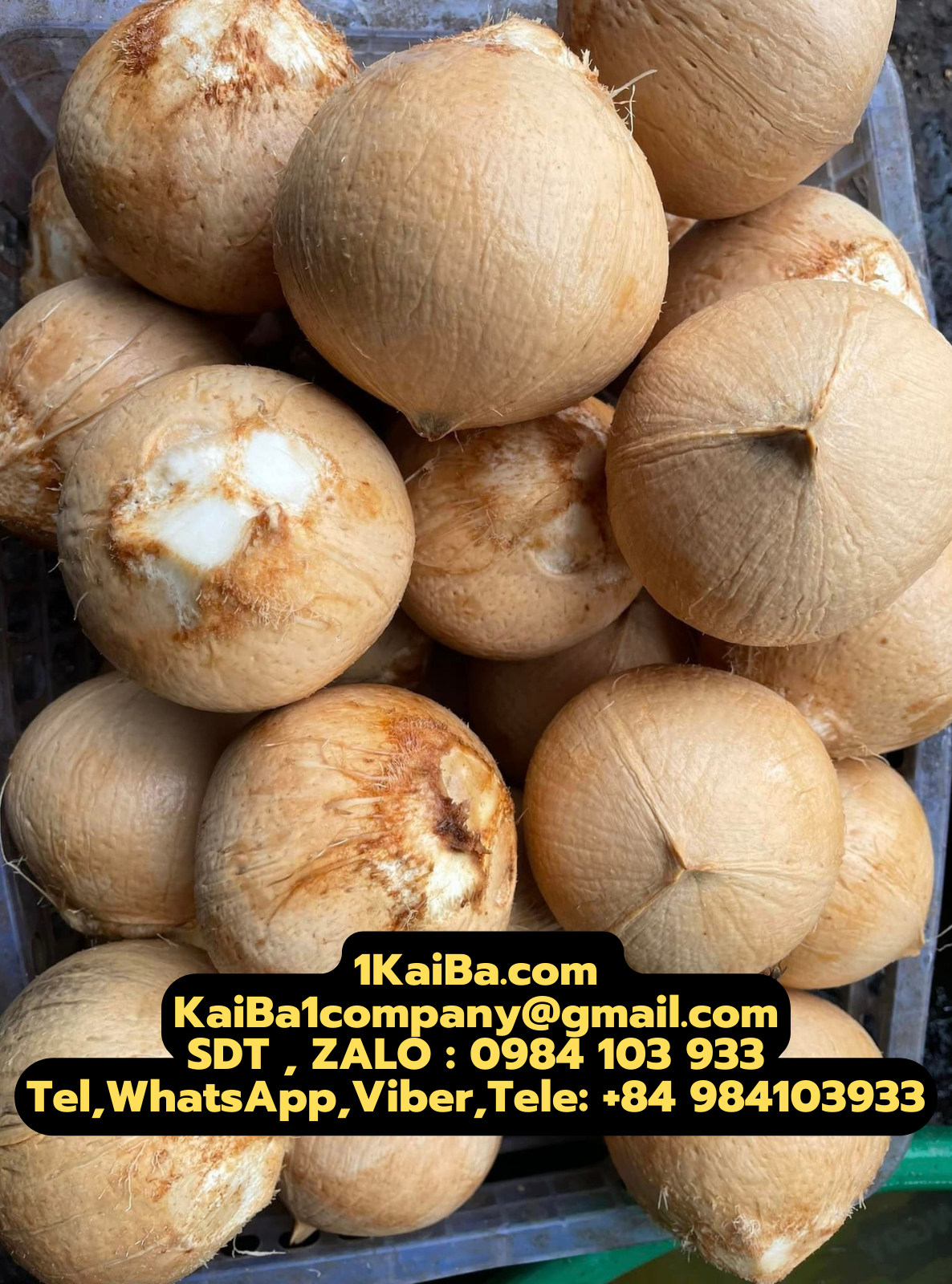 Máy Lột Dừa Trọc