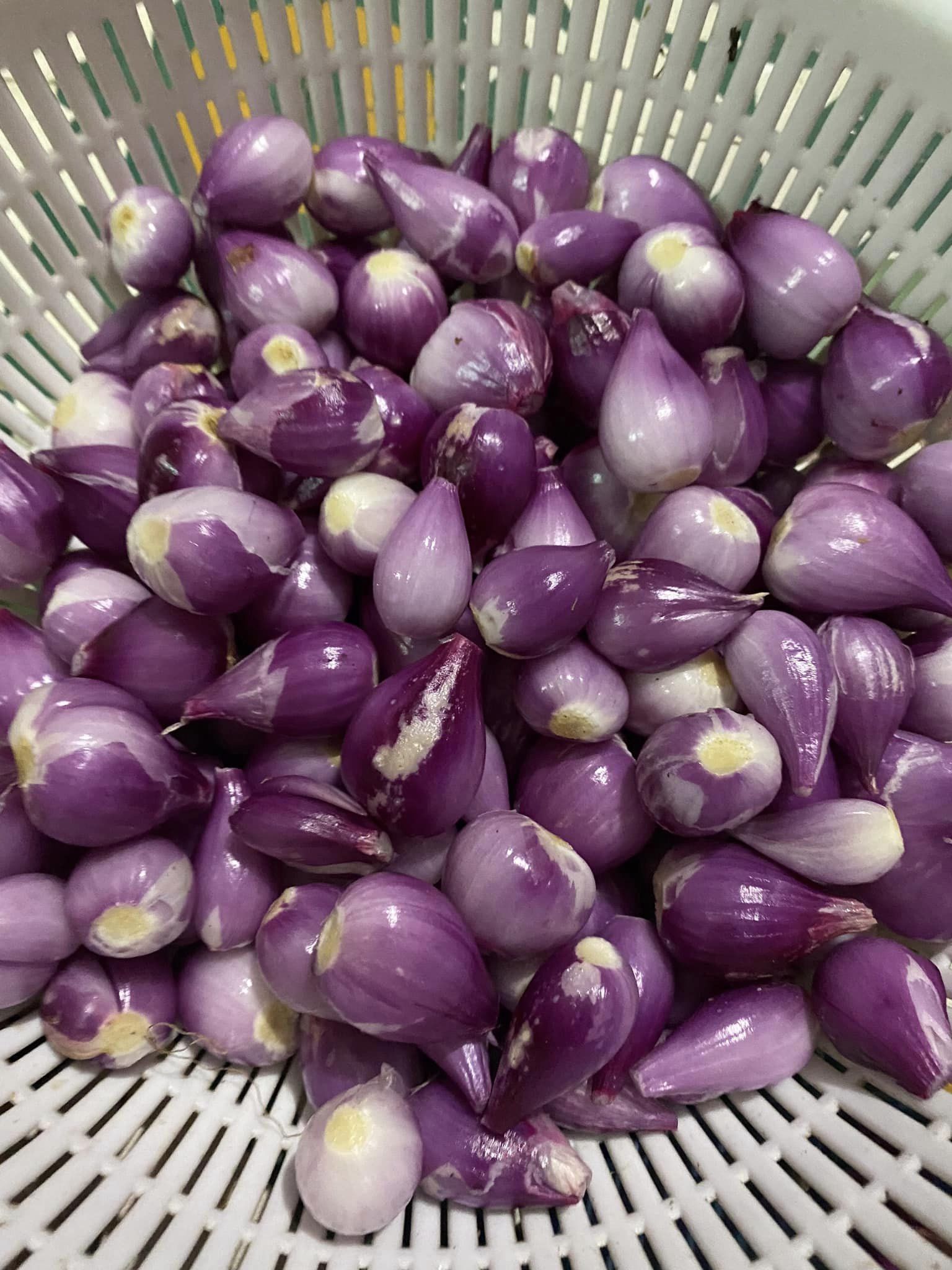 Máy bóc vỏ hành tỏi