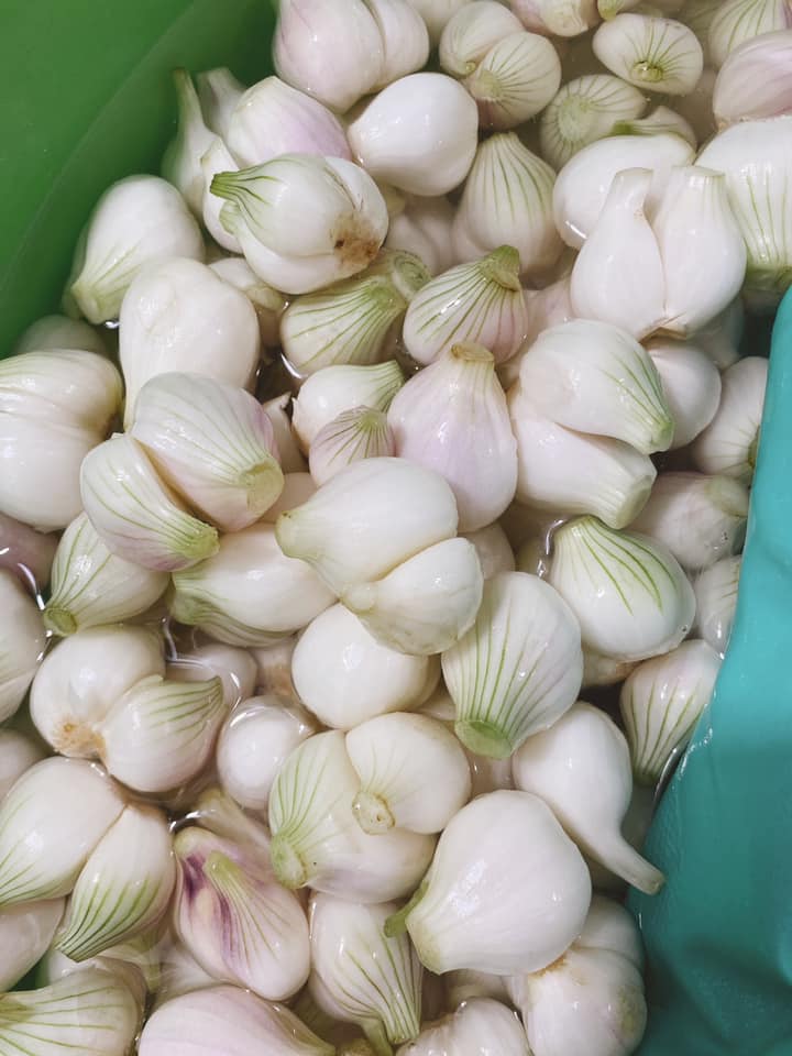 Máy bóc vỏ hành tỏi
