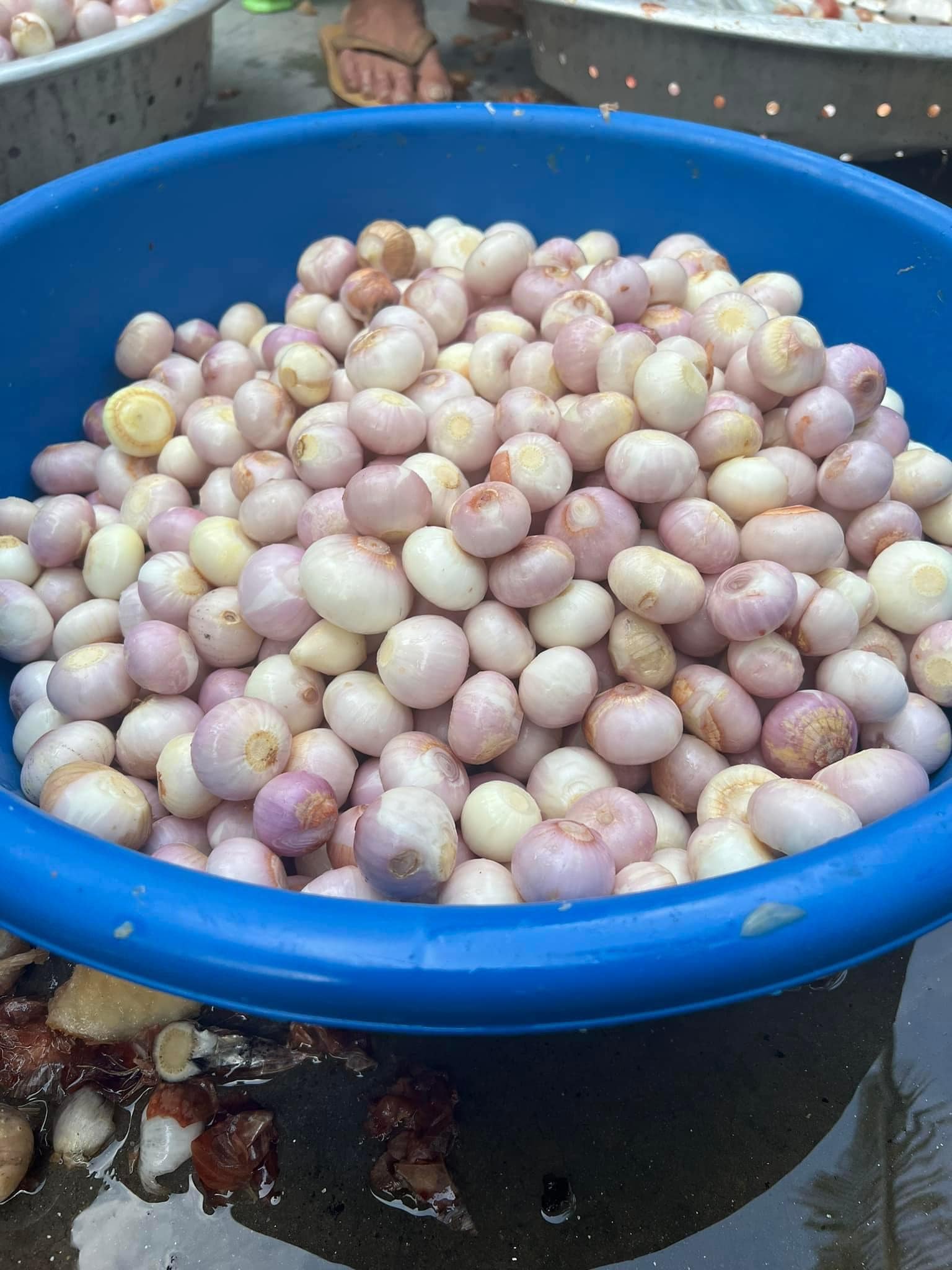 Máy bóc vỏ hành tỏi
