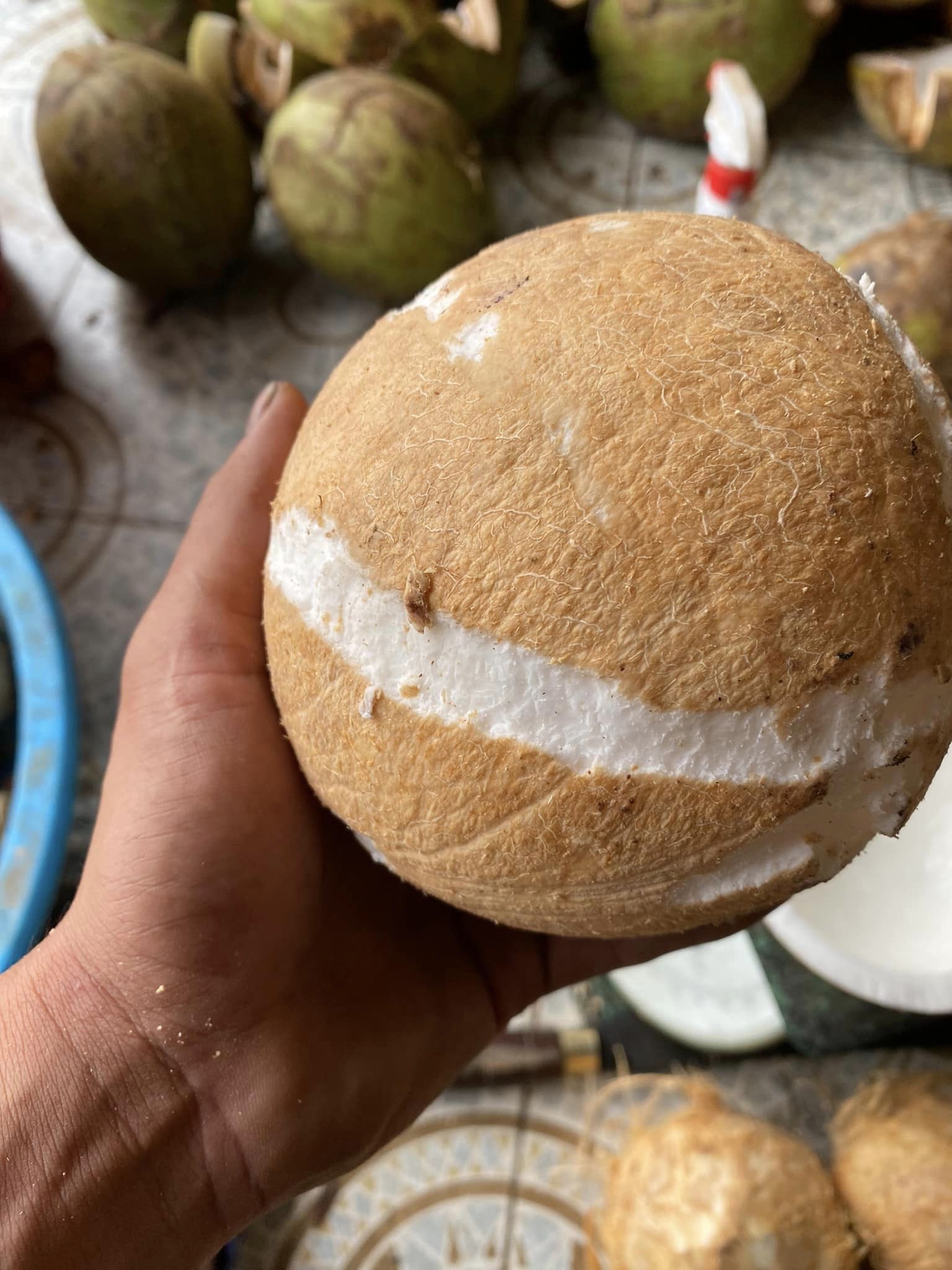 Máy Tách Gáo Dừa KaiBa