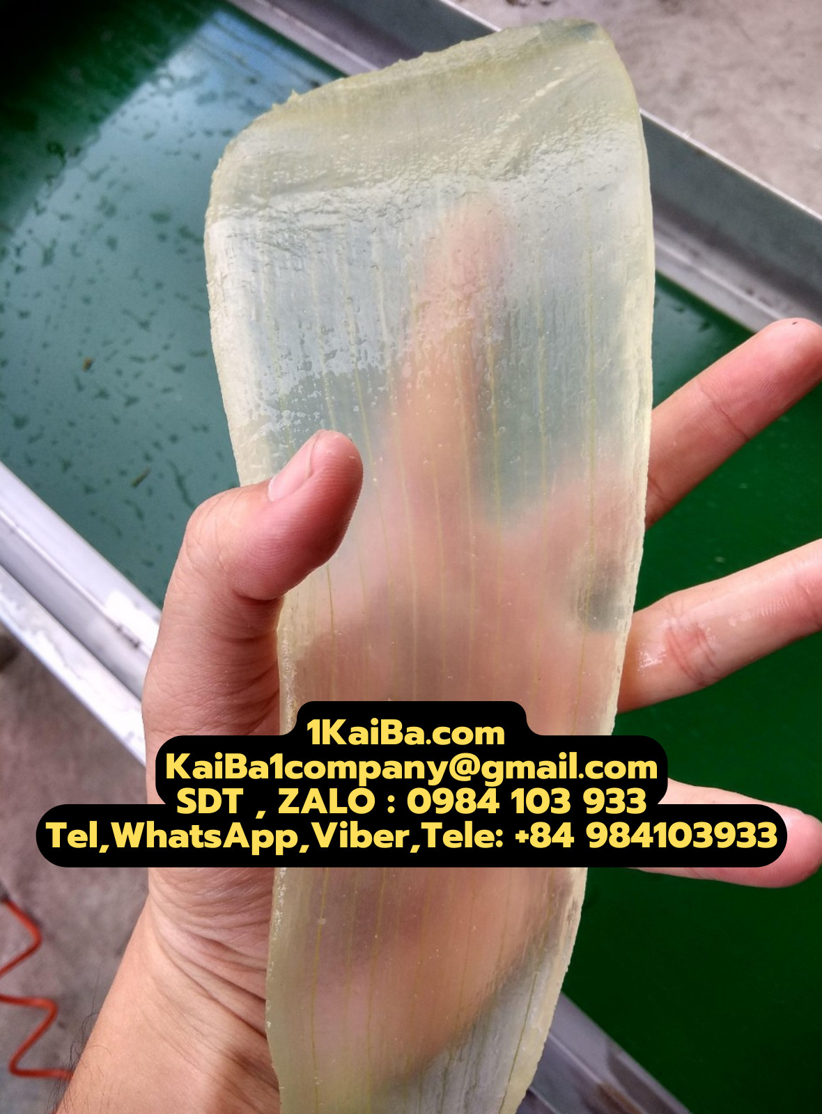 Máy gọt vỏ nha đam