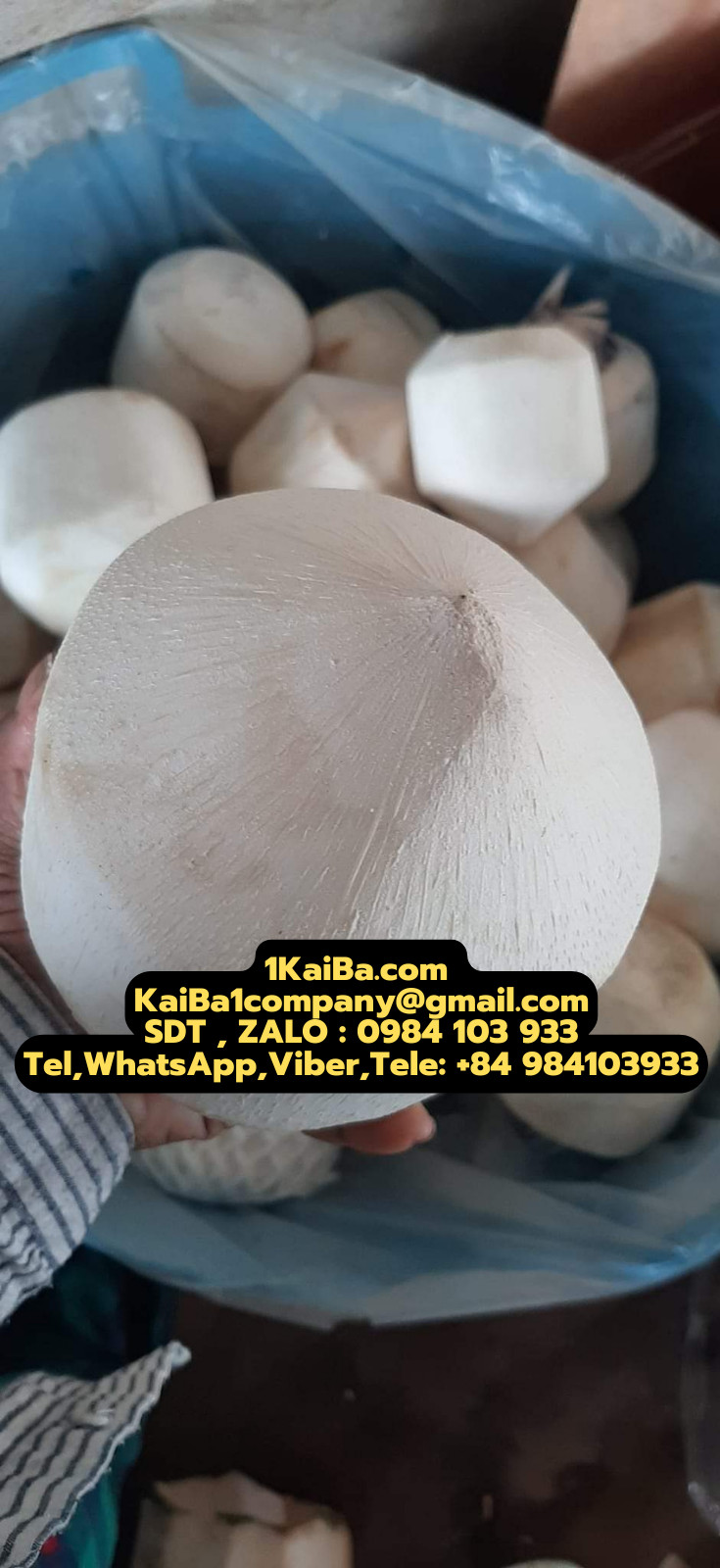Máy Gọt Vỏ Dừa