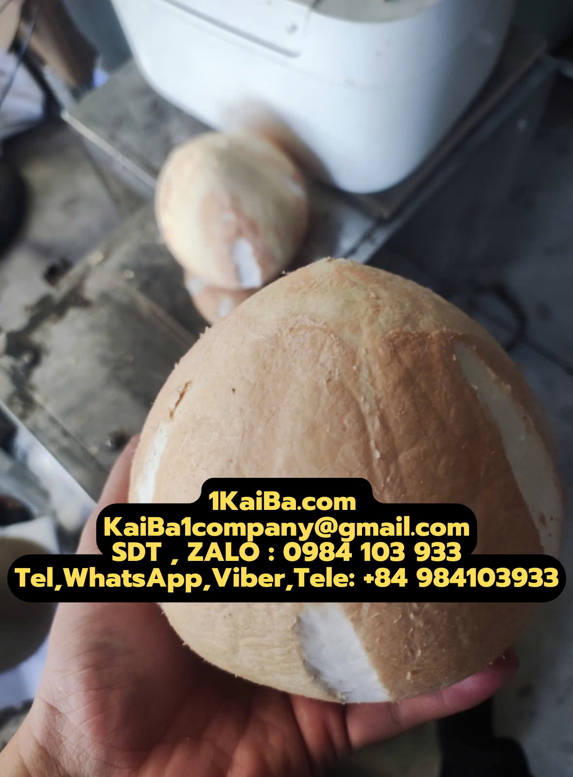 Máy Tách Gáo Dừa KaiBa