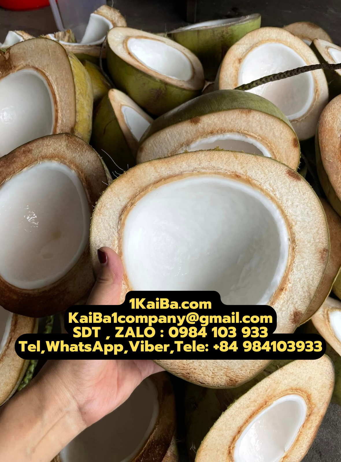 Máy Bổ Dừa Tự Động
