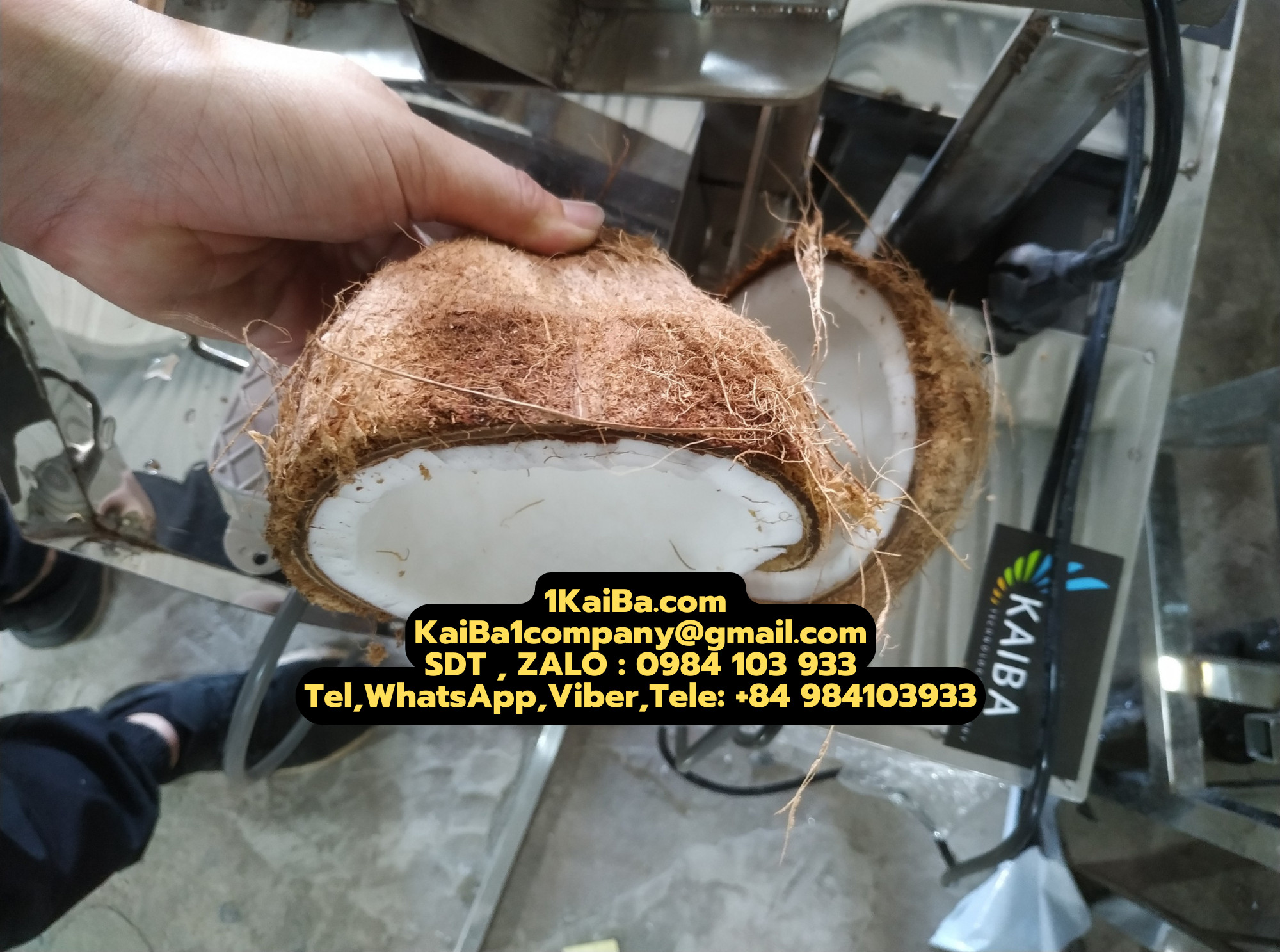 Máy Chặt Dừa Tự Động