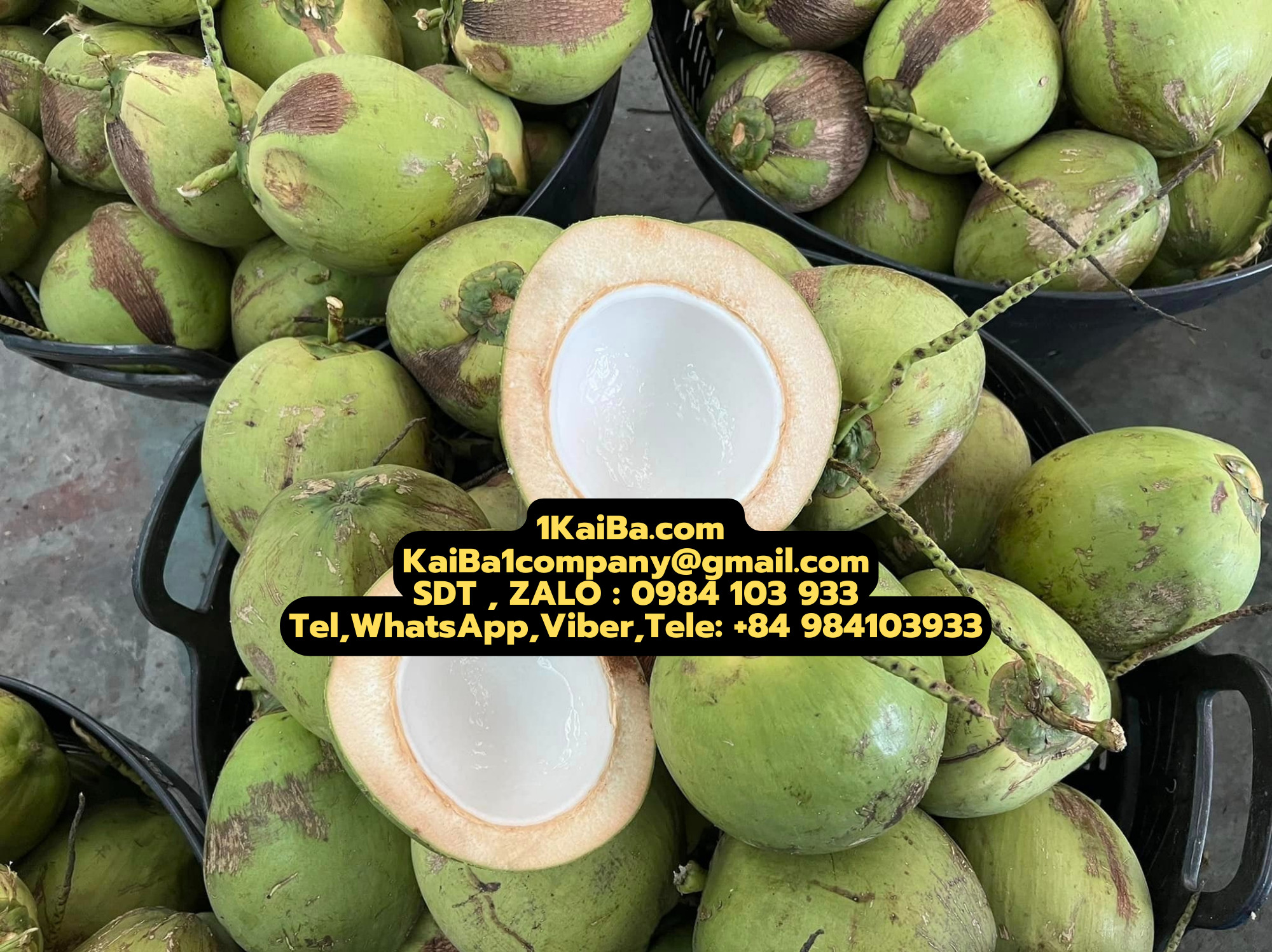 Máy cắt Dừa Tự Động