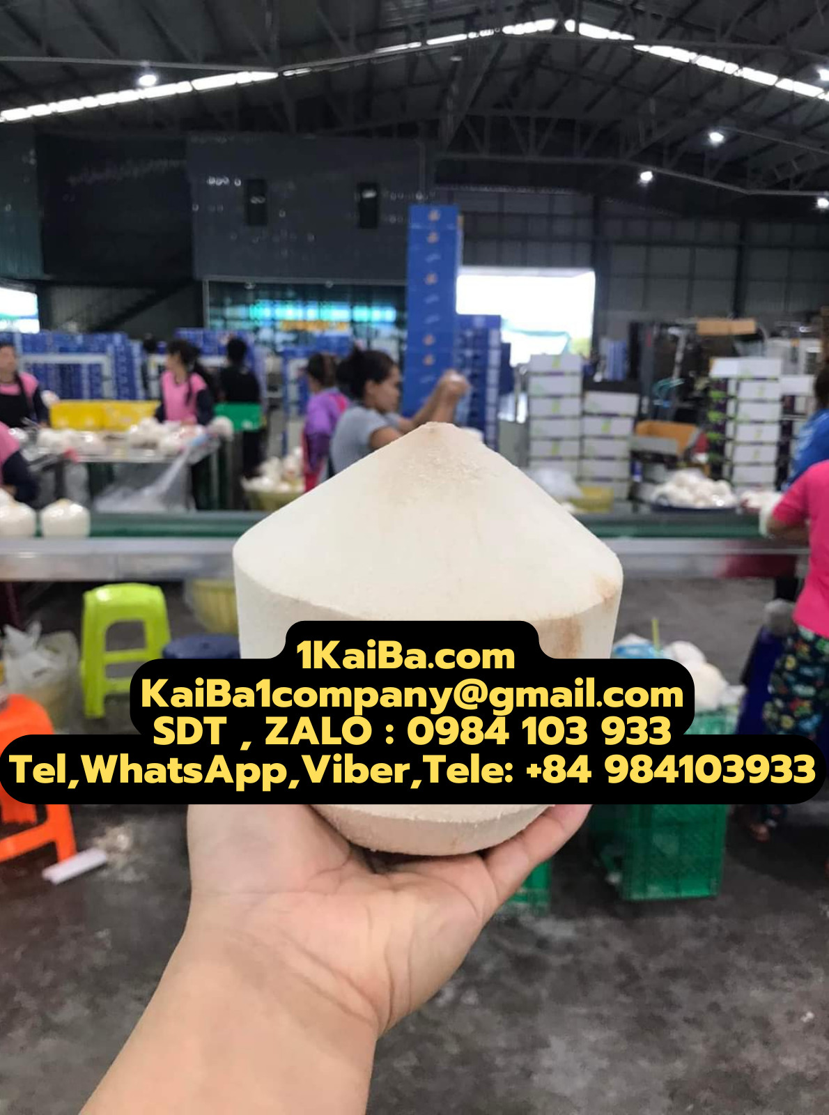 Máy Gọt Dừa