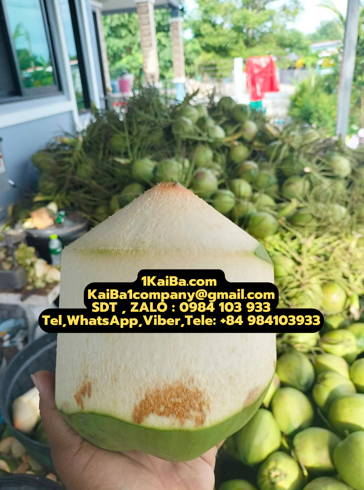 Máy Gọt Dừa tươi