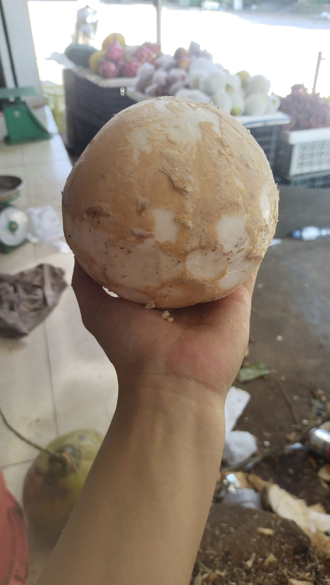Máy Tách Gáo Dừa