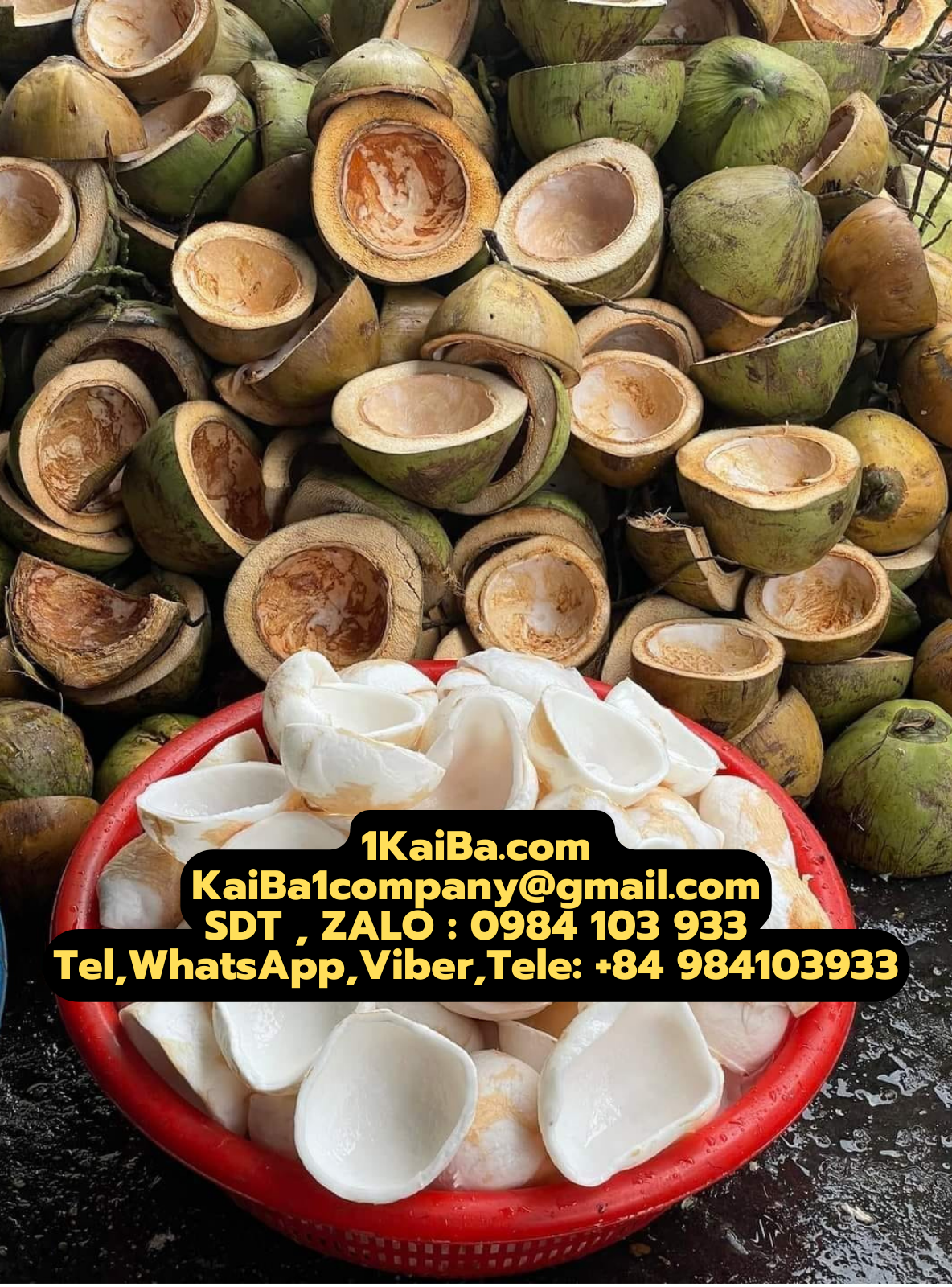 Máy chặt dừa tươi Kaiba