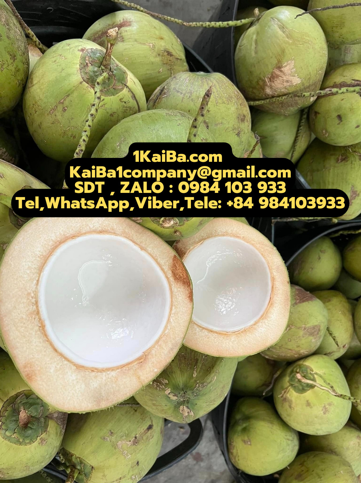 máy chặt dừa