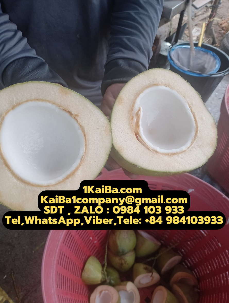 máy chặt dừa
