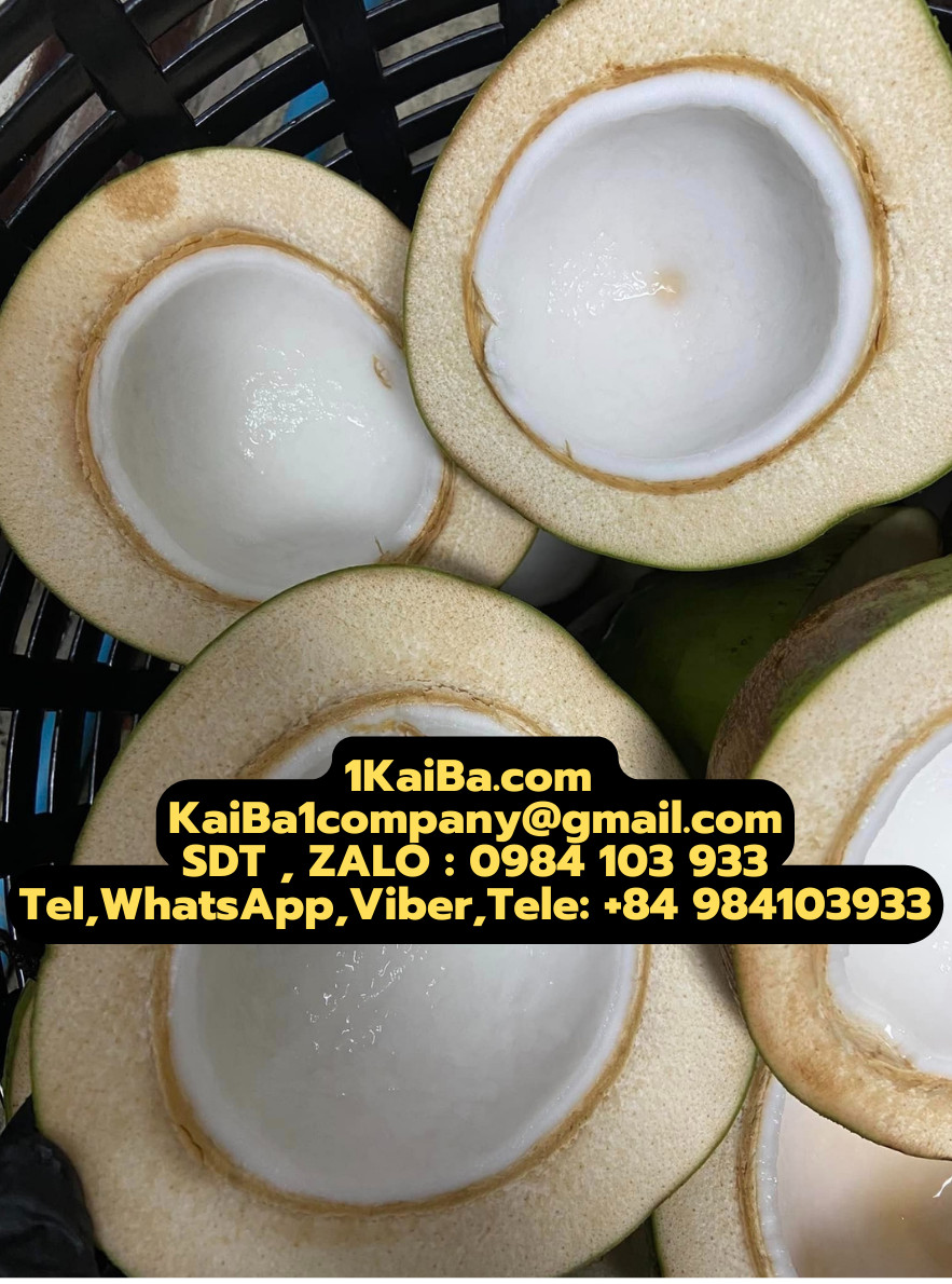Máy chặt dừa tươi Kaiba