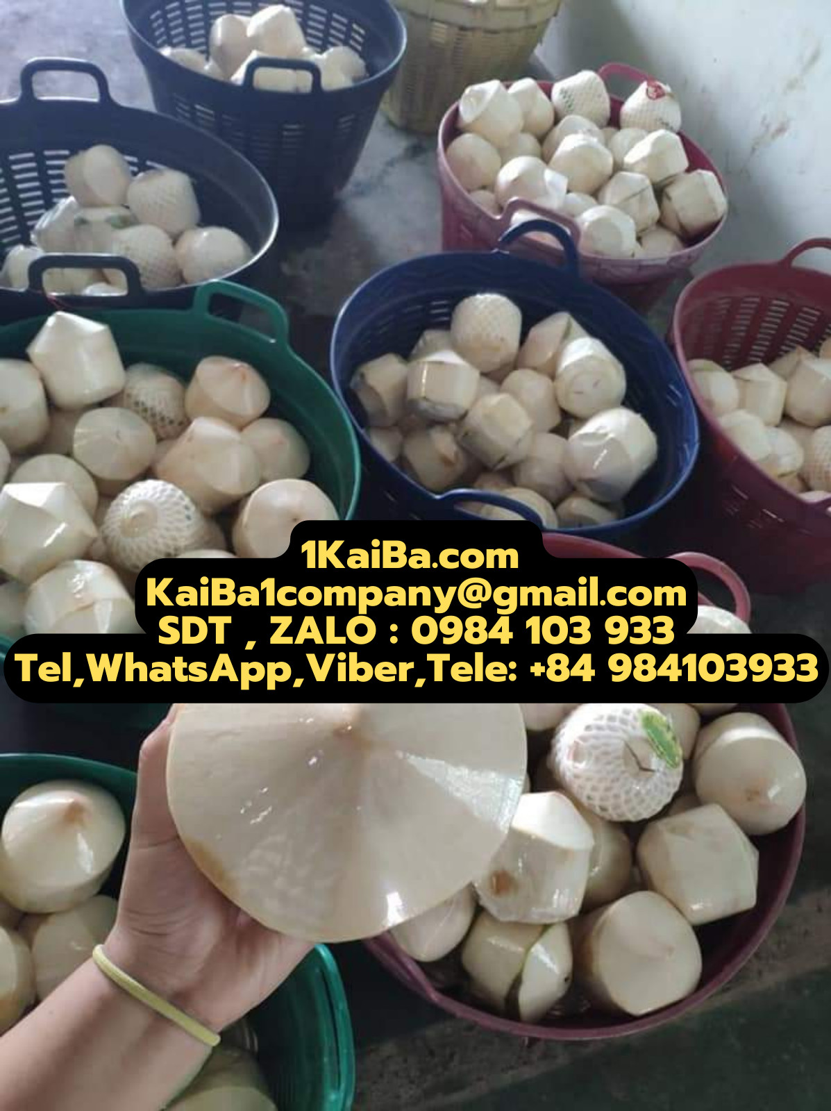 máy gọt dừa